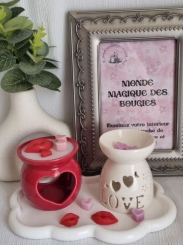 Bougies Brûle-Parfums fondants