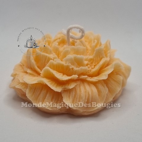 Bougies pivoine