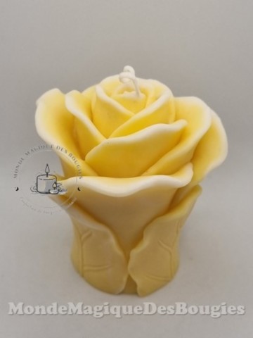 Bougies rose sur pied