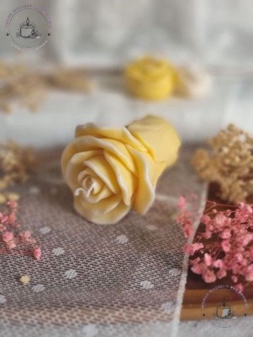 Bougies rose sur pied
