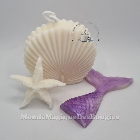 Bougies coquillages saint jacques