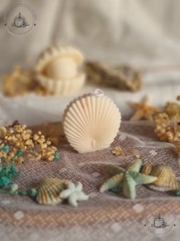 Bougies coquillages saint jacques