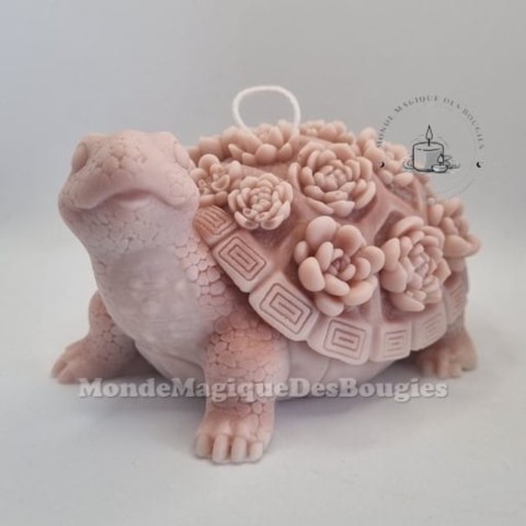 Bougies animaux tortue
