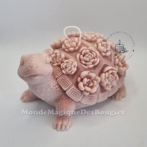 Bougies animaux tortue