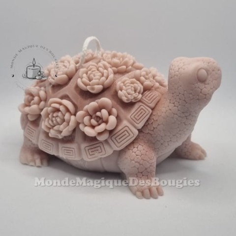 Bougies animaux tortue