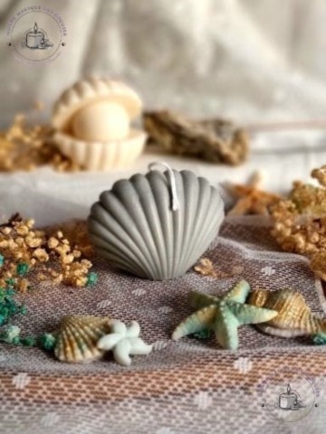 Bougies coquillages