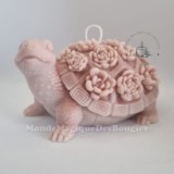 Bougies animaux tortue